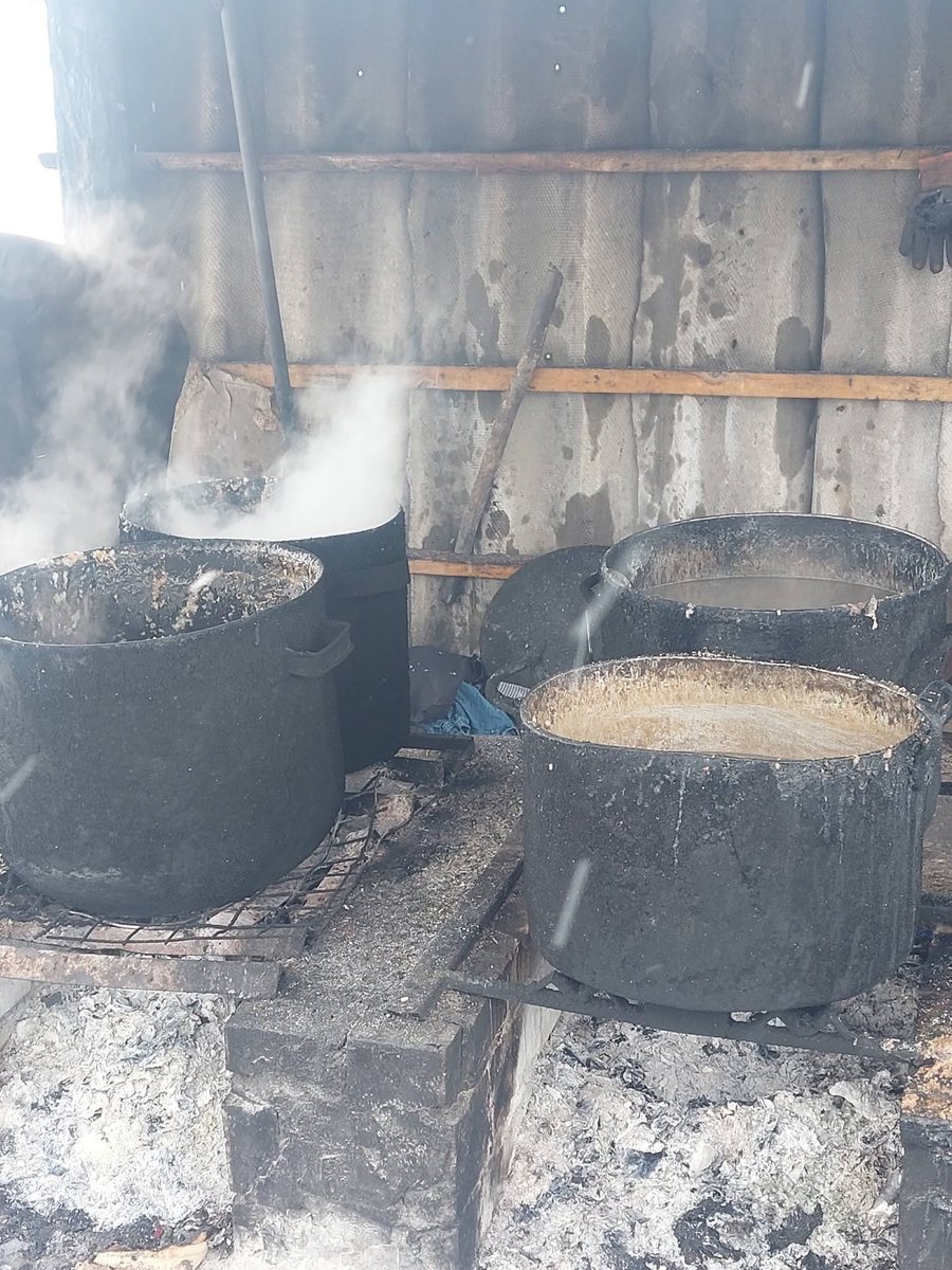 Large cauldrons of rice and meat cooking over an open fire at the shelter