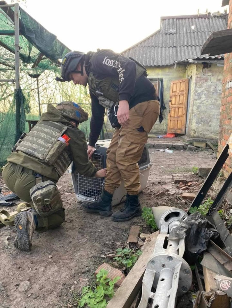 Ukrainian soldiers placing a rescued animal into a carrier at a damaged front-line property